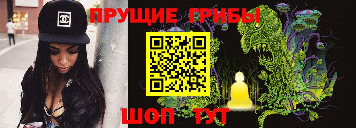 Ковров  Псилоцибиновые грибы прущие грибы  Вход с VPN 